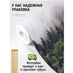 Фотообои Изумрудный лес в тумане 500х270 см для коридора