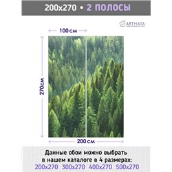 Фотообои Горный зеленый лес 200х270 см для оформления спальни