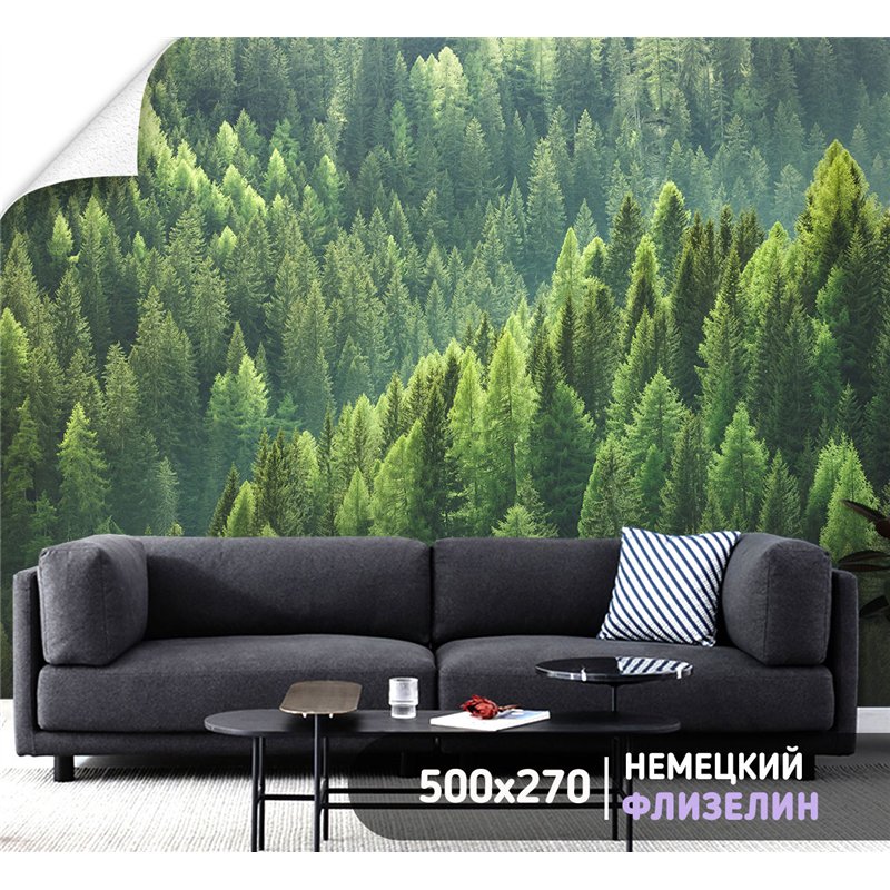 Фотообои Горный зеленый лес 500х270 см для оформления стен в коридоре