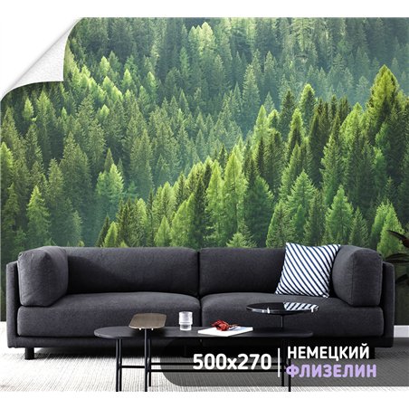 Фотообои Горный зеленый лес 500х270 см для оформления стен в коридоре