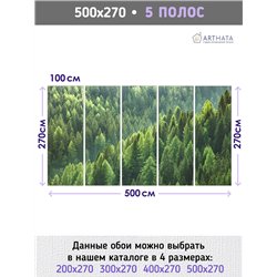 Фотообои Горный зеленый лес 500х270 см для оформления стен в коридоре