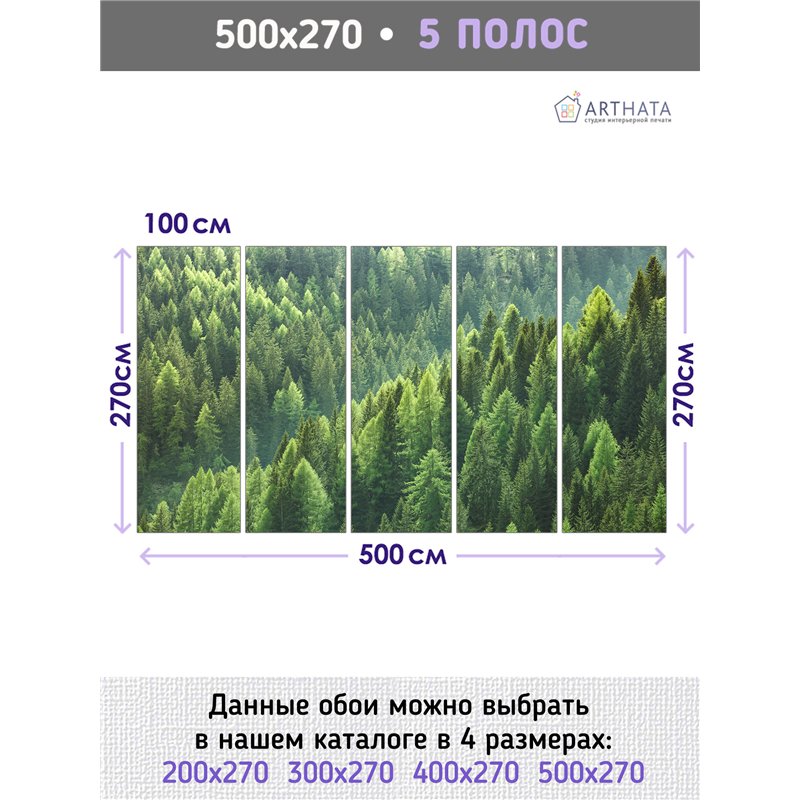 Фотообои Горный зеленый лес 500х270 см для оформления стен в коридоре