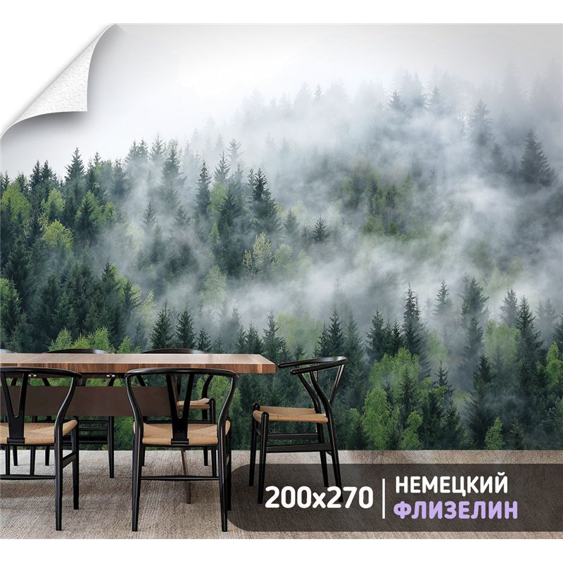 Фотообои Изумрудный лес в тумане 200х270 см для зала