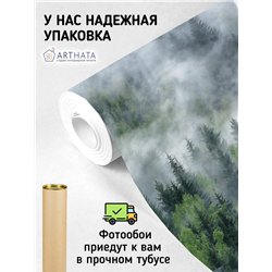Фотообои Изумрудный лес в тумане 200х270 см для зала