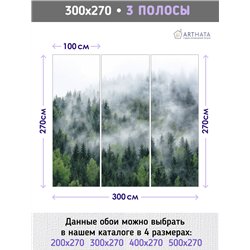 Фотообои Изумрудный лес в тумане 300х270 см для спальни