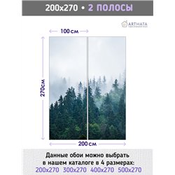 Фотообои Изумрудный лес в тумане 200х270 см для декорирования стен в зале