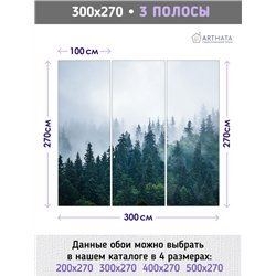 Фотообои Изумрудный лес в тумане 300х270 см для оформления стен в гостиной