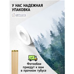 Фотообои Изумрудный лес в тумане 300х270 см для оформления стен в гостиной