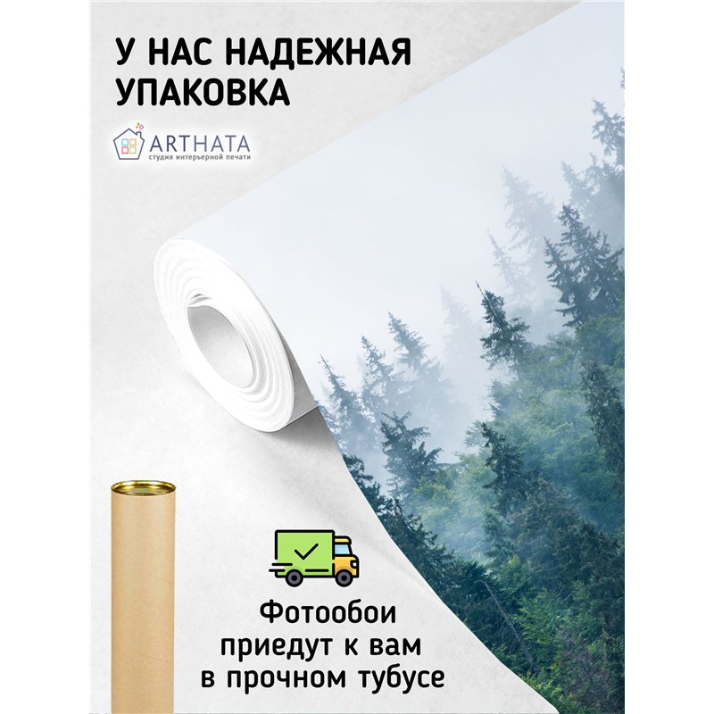 Фотообои Изумрудный лес в тумане 500х270 см для коридора