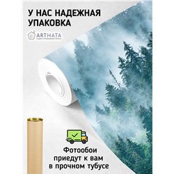 Фотообои Изумрудный лес в тумане 500х270 см для оформления стен в коридоре