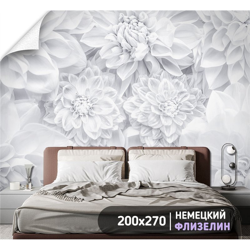 Фотообои белые астры для коридора метровые 200х270