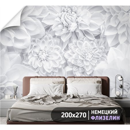 Фотообои белые астры для коридора метровые 200х270