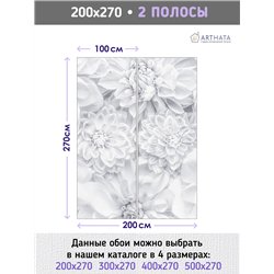 Фотообои белые астры для коридора метровые 200х270