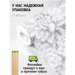 Фотообои белые астры для коридора метровые 200х270