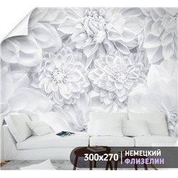 Фотообои цветы белые астры в коридор моющиеся 300х270