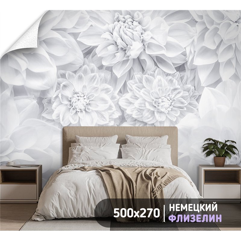 Фотообои цветы белые астры на кухню моющиеся 500х270