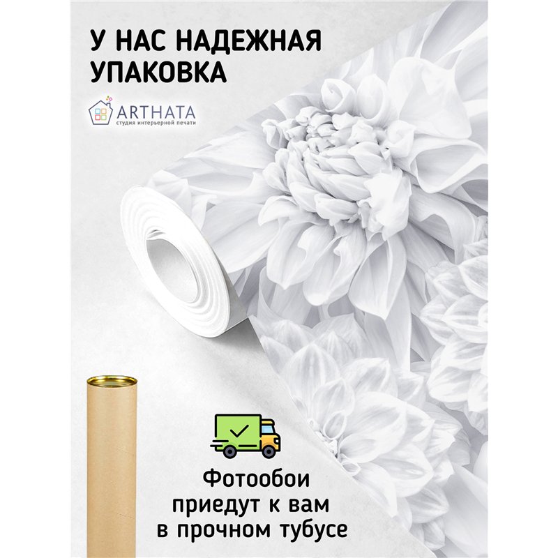Фотообои цветы белые астры на кухню моющиеся 500х270
