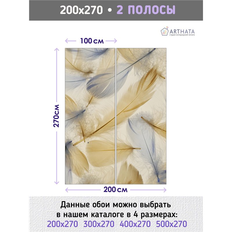 Фотообои разноцветные перья для кухни влагостойкие 200х270