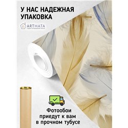 Фотообои разноцветные перья для кухни влагостойкие 200х270