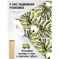 Фотообои листья пальм для коридора флизелиновые 200х270