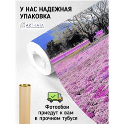 Фотообои пейзаж с цветами и горой моющиеся для кухни 500х270