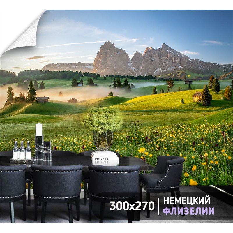Фотообои пейзаж с цветами и горами в коридор 300х270