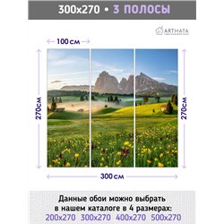 Фотообои пейзаж с цветами и горами в коридор 300х270