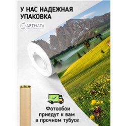 Фотообои пейзаж с цветами и горами в коридор 300х270