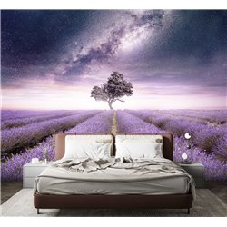 Фотообои лавандовое поле для кухни 300х270