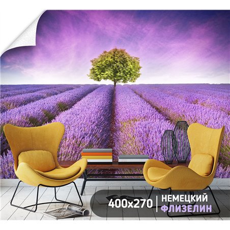 Фотообои кусты лаванды для кухни влагостойкие 400х270