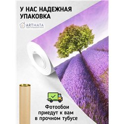 Фотообои кусты лаванды для кухни влагостойкие 400х270