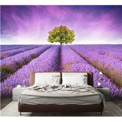 Фотообои кусты лаванды для кухни влагостойкие 400х270