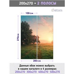Фотообои дорога в поле моющиеся на кухню 200х270