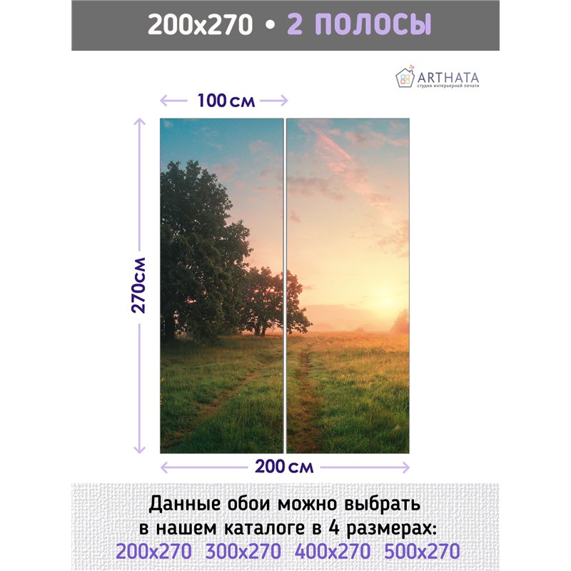 Фотообои дорога в поле моющиеся на кухню 200х270