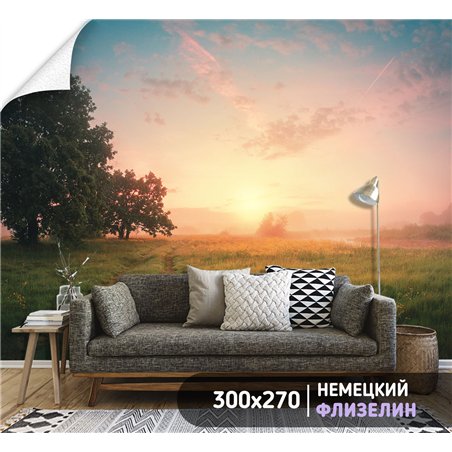Фотообои пейзаж с дорогой в поле и деревьями в зал 300х270