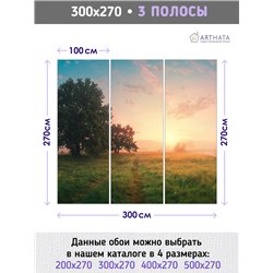 Фотообои пейзаж с дорогой в поле и деревьями в зал 300х270