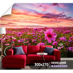 Фотообои закатное небо и поле на кухню влагостойкие 300х270