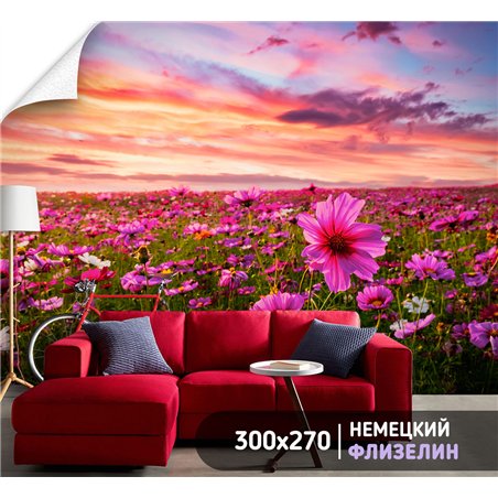 Фотообои закатное небо и поле на кухню влагостойкие 300х270