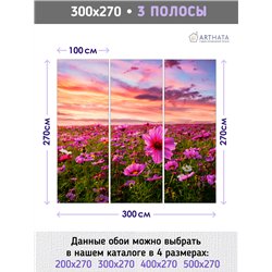 Фотообои закатное небо и поле на кухню влагостойкие 300х270