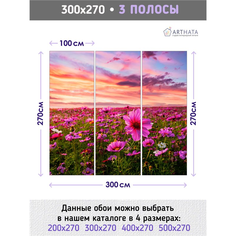 Фотообои закатное небо и поле на кухню влагостойкие 300х270