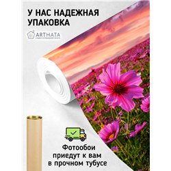 Фотообои закатное небо и поле на кухню влагостойкие 300х270