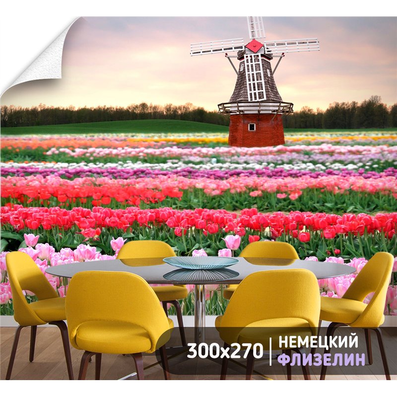 Фотообои тюльпаны и мельница в коридор моющиеся 300х270