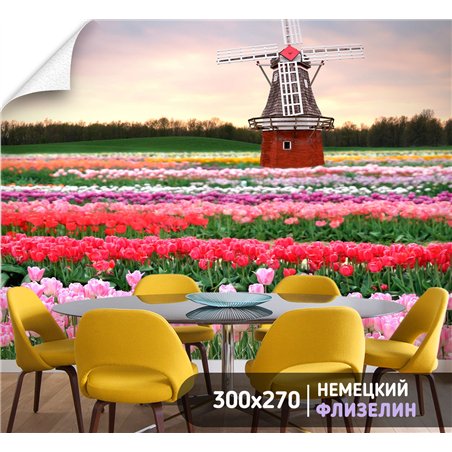 Фотообои тюльпаны и мельница в коридор моющиеся 300х270