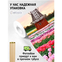 Фотообои тюльпаны и мельница в коридор моющиеся 300х270