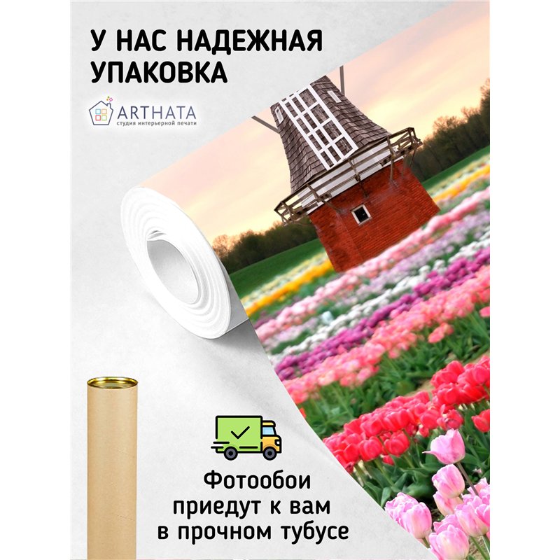 Фотообои тюльпаны и мельница в коридор моющиеся 300х270