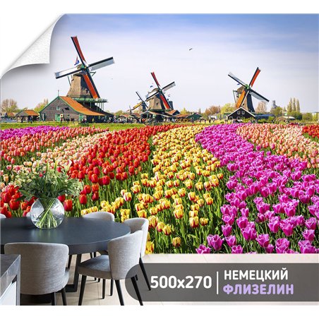 Фотообои мельница и тюльпаны в спальню 500х270