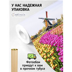 Фотообои мельница и тюльпаны в спальню 500х270