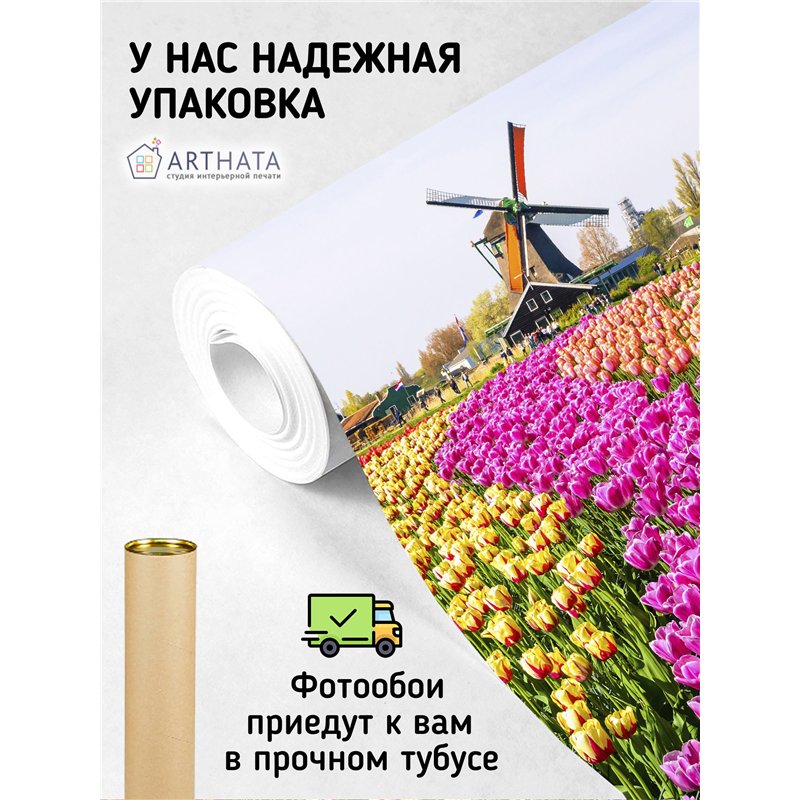 Фотообои мельница и тюльпаны в спальню 500х270