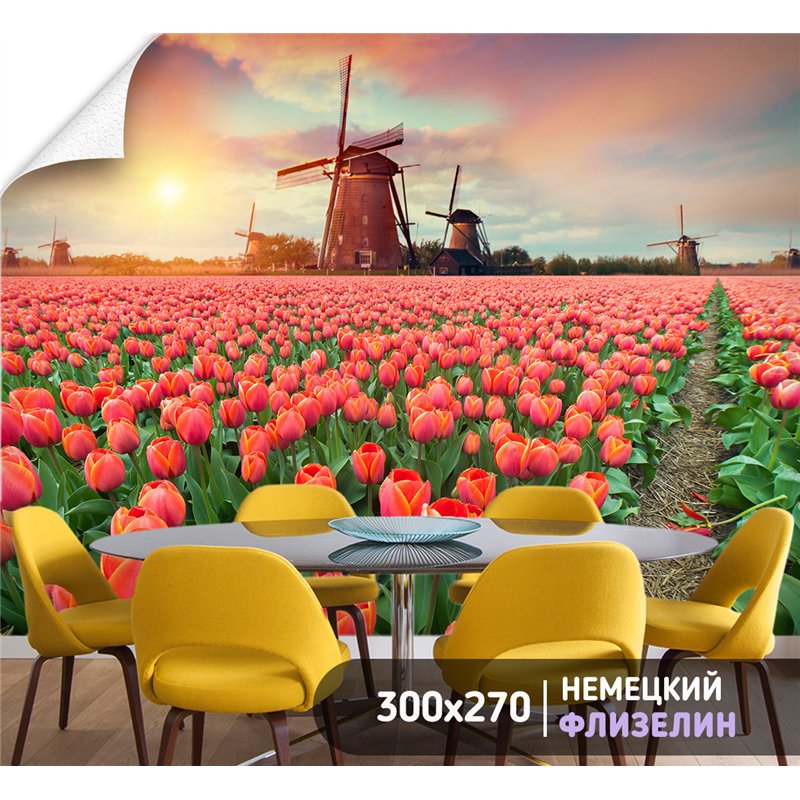 Фотообои тюльпаны на закате и мельница для кухни 300х270