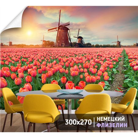 Фотообои тюльпаны на закате и мельница для кухни 300х270